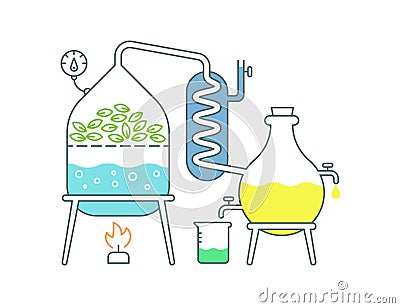 Essential oil making. Distillations aromatic oils production Perfumery substances Distiller equipment Cartoon Illustration