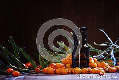 Essential oil of sea buckthorn, small brown bottle and scattered Stock Photo