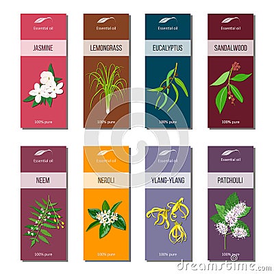 Essential oil tags collection. Sandalwood, patchouli, Ylang-ylang, neem, neroli, lemongrass, Eucalyptus, jasmine Vector Illustration