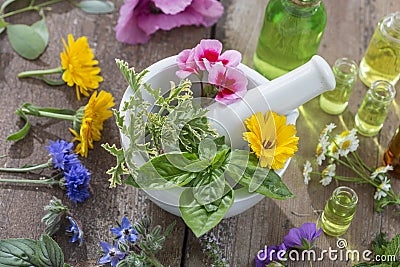 Essential oils for aromatherapy treatment with fresh herbs in mortar white background Stock Photo