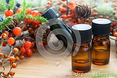 Essential oils with autumn plants Stock Photo