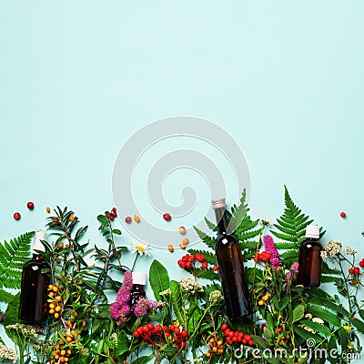 Essential oils in dark glass bottles and healing flowers, herbs on blue background. Holistic medicine approach. Healthy food Stock Photo