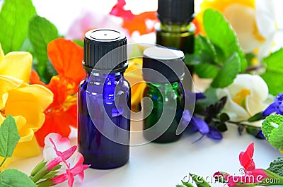 Essential oils with herbal flowers Stock Photo