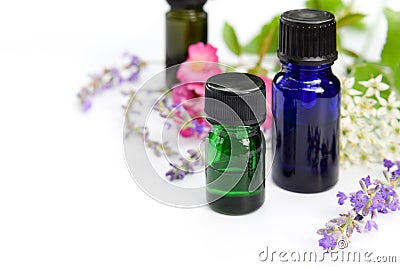 Essential oils with herbal flowers Stock Photo