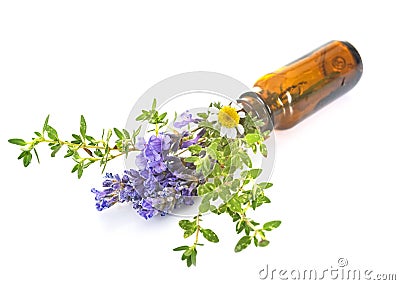 Essential oils in studio Stock Photo