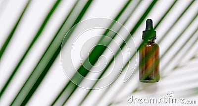 Essential oils on white background with palm leaves, mockup. Cosmetic medical beauty product in brown glass bottles with a pipette Stock Photo