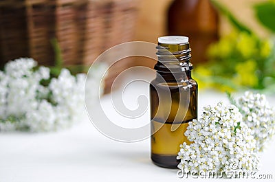 Essential yarrow oil Stock Photo