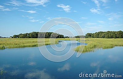 Essex Marsh Stock Photo