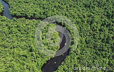 Establishing aerial photo of boat traveling down a river through the jungle in the Orinoco Delta, Venezuela, South America. Sunny Stock Photo