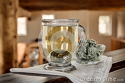 Estafiate herb tea, Artemisia ludoviciana Stock Photo