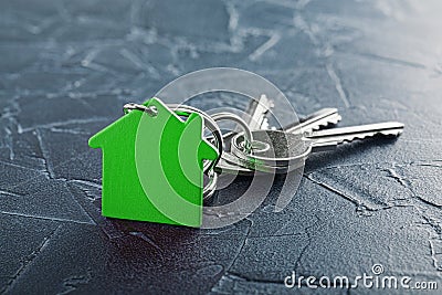 Estate concept with key, green keychain with house symbol, ecotechnologies Stock Photo