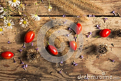 Ripe red dog-rose fruits with grass, white daisies, purple violets on an old wooden table Stock Photo