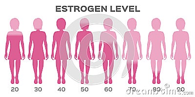 Estrogen Hormone Level vector / woman Vector Illustration