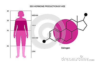 Testosterone estrogen level Vector Illustration