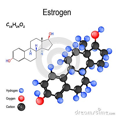 Estrogen oestrogen, estrone, estradiol, estriol. chemical form Vector Illustration