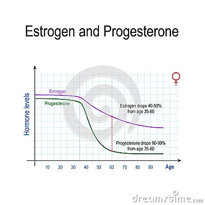 Estrogen, progesterone and aging Vector Illustration