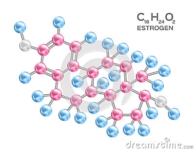 Estrogen structure Vector Illustration