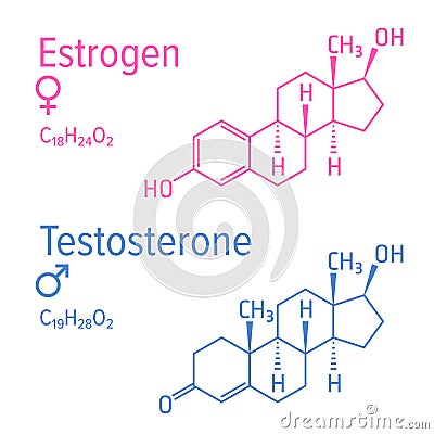 Estrogen and testosteron hormones vector chemical formulas Vector Illustration