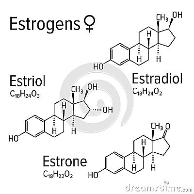 Estrogens female hormones vector chemical molecular formulas Vector Illustration