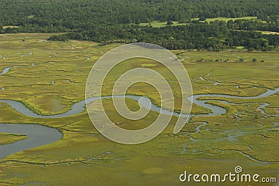 Estuary Stock Photo