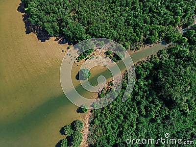 Estuary river and forests overlook by drone DJI mavic mini Stock Photo