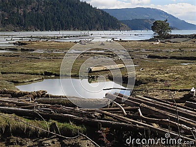 Estuary tidal flats. Stock Photo