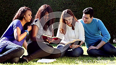 Estudio al aire libre de la biblia del grupo almacen de video Estudio al aire libre de la biblia del grupo almacen de video