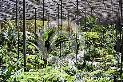 Estufa Fria greenhouse in Lisbon Stock Photo