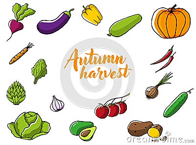 Et of fresh seasonal vegetables Vector Illustration