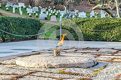 Eternal Fire at President J.F. Kennedy Grave Site in Arlington Cemetery, Washington DC, USA. White Tombstones in Background Editorial Stock Photo