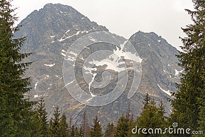 Eternal snow in the mountains in the summer Stock Photo