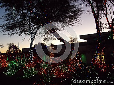 Ethel M Chocolate Factory Cactus Garden Decorated for Christmas Editorial Stock Photo