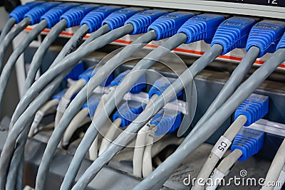 Ethernet cables connected to computer internet server Stock Photo