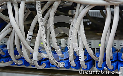 Ethernet cables connected to computer internet server Stock Photo
