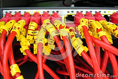 Ethernet RJ45 cables are connected to internet switch Stock Photo