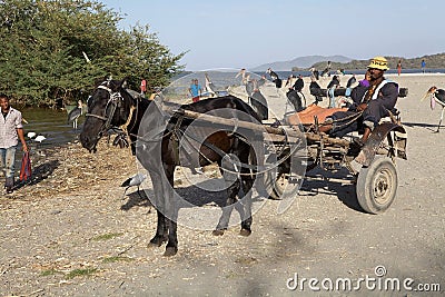 Ethiopian horse carriage Editorial Stock Photo