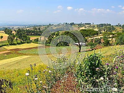 Ethiopian landscape nature. The village in the valley. Africa, E Stock Photo