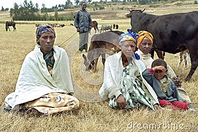 Ethiopian women and teen herding cows Editorial Stock Photo