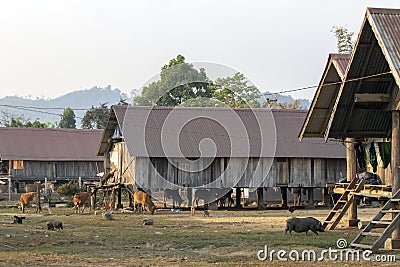 Ethnic house in Lak village in Dac Lak, Vietnam Stock Photo