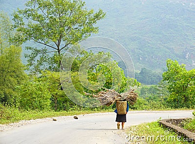 Ethnic minority woman carrying grass to home Stock Photo