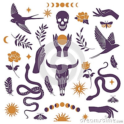 Ethnic patch. Boho silhouette symbols. Snake and skull. Bird feather. Hand with plant branch. Moth on flower. Tarot and Vector Illustration