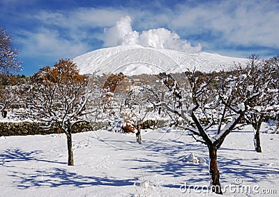 Etna Park Snowcovered Orchard, Sicily Stock Photo