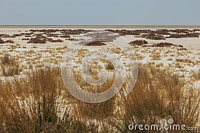 Etosha Pan, Etosha National Park. Namibia Stock Photo