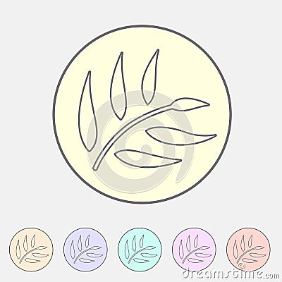 Eucalyptus beauty osmetics oil icon flat web sign symbol logo label Vector Illustration