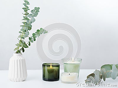 Eucalyptus branches bouquet in vase and Aromatic home perfume candles, air freshener. Home Interior comfort element and Stock Photo