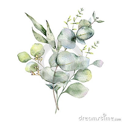 Eucalyptus Branches Watercolor, Floral Frame, Greenery Frame, Floral Arrangement, Green Leaves Composition Stock Photo