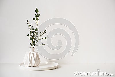 Eucalyptus branches in white ceramic vase on empty wall background Stock Photo