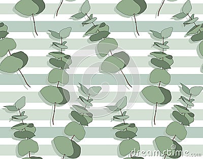 Eucalyptus different tree, foliage natural branches with green leaves seeds tropical seamless pattern. Vector Illustration