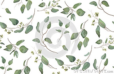 Eucalyptus different tree, foliage natural branches Vector Illustration