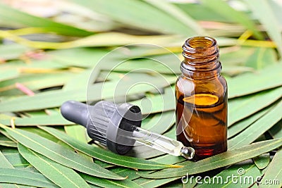 Eucalyptus essential oil in the amber bottle Stock Photo